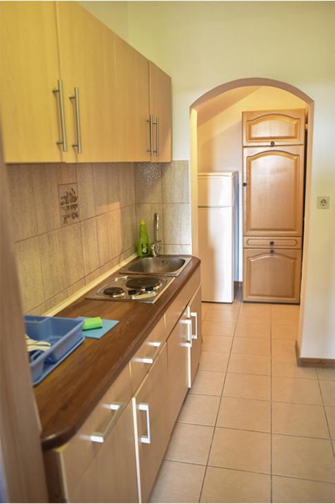 Vila Mila Petrovac Kültér fotó