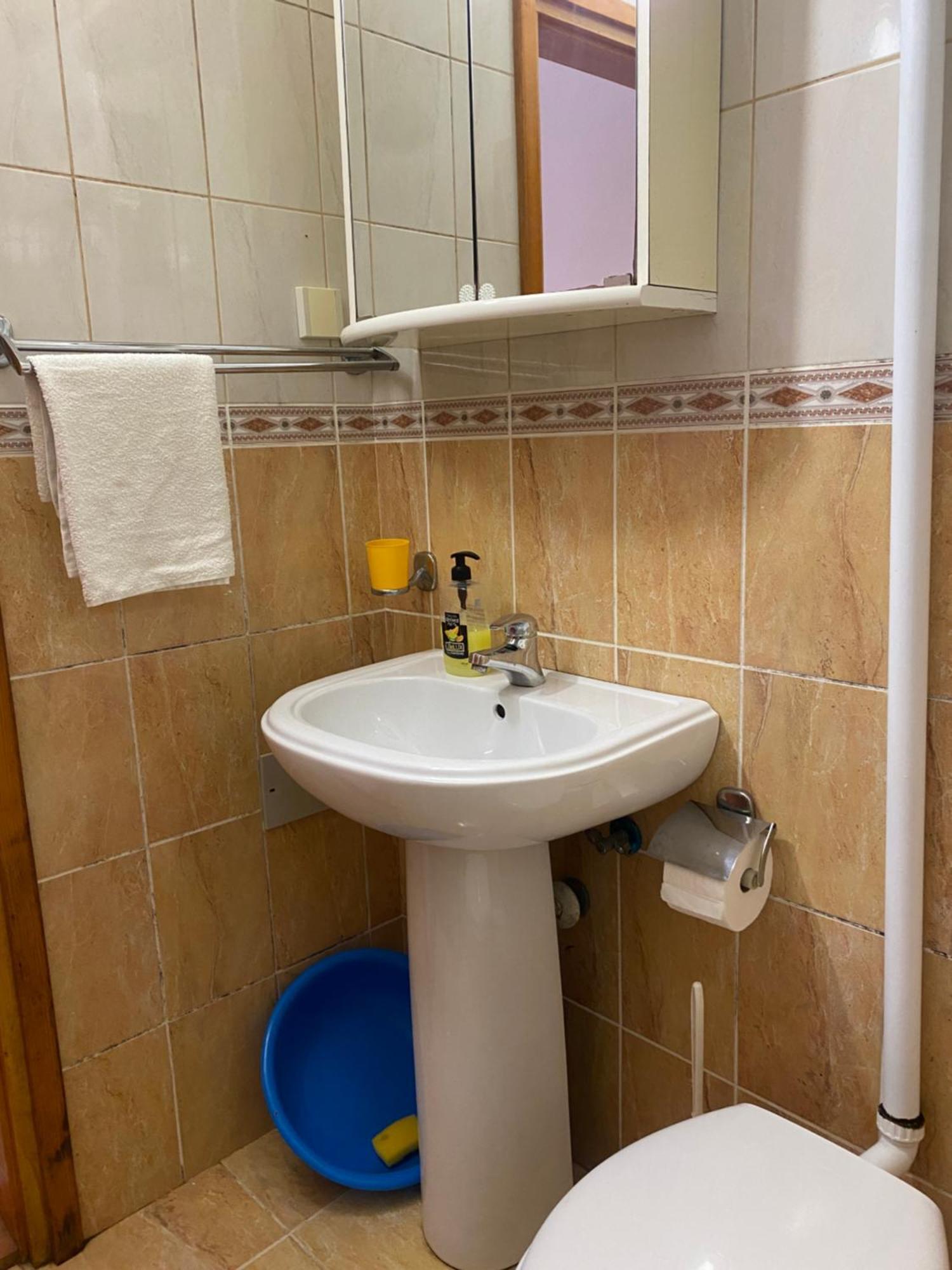 Vila Mila Petrovac Kültér fotó